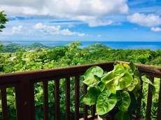  Hummingbird Villa - Cap Estate - 3 Bedrooms - Oceanview