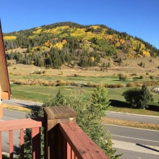 Fall colors