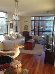 Centrally Located Luxury Condo