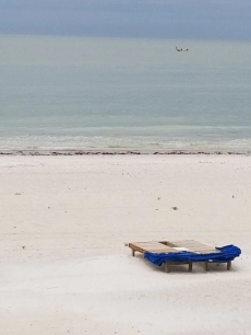 the beautiful ocean no filters