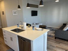 Rays Baseball, Luxury, One Bed Room