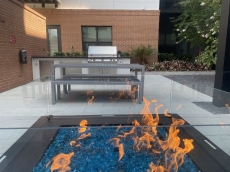 Rays Baseball, Luxury, One Bed Room