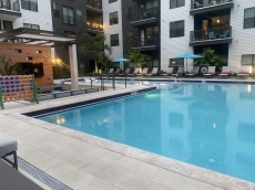 Rays Baseball, Luxury, One Bed Room