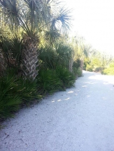 ADORABLE LOW COST PRIVATE 1BR VILLA- 1.5 blocks to BEACH- at GREAT prices!!