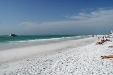 SAND DOLLAR, KING Studio, POOL Walk to beach