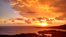 Surf Oasis - Caribbean Dawn