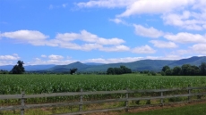 Riverfront Mountain View Haven