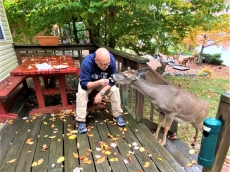 Lakefront Cabin w/ Private Beach, Dock, AC, 4 Boats, Sauna, Dog Friendly!!! 