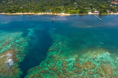 Sunnyside House · Dream Beach Home! Snorkel reef off 400' dock!