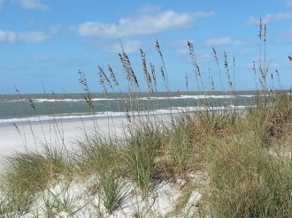 Condo rental in Madeira Beach, Florida