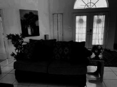 Living room and foyer