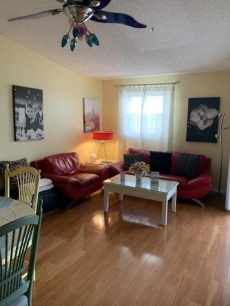 Lifestyle on the island