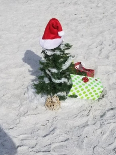 Christmas is a perfect time to be on the beach. White power sand????????♥️♥️