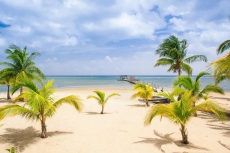 Sunnyside Bungalow 2 · Best snorkeling/diving on island 70yds off dock