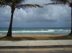 Luquillo, 13th Floor With Ocean Front!