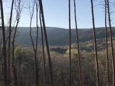 Incredible Mountin Lodge Retreat with Spectacular Views in Lake Arrowhead.