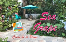  Sea Grape Cottage at Casas de la Playa