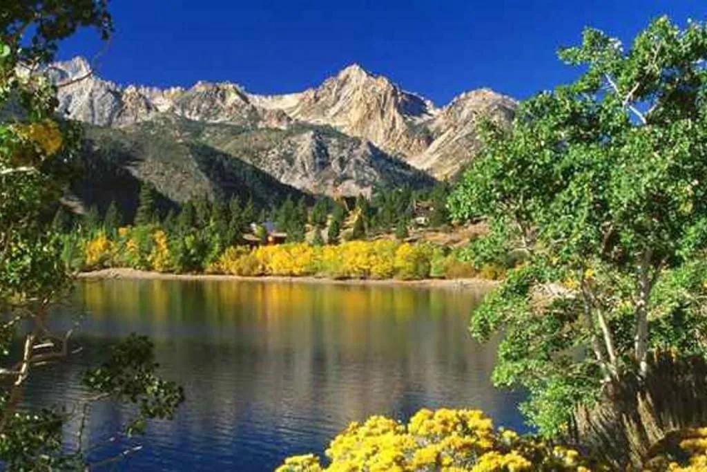 1 Bedroom Hotel Rental in Coleville, California