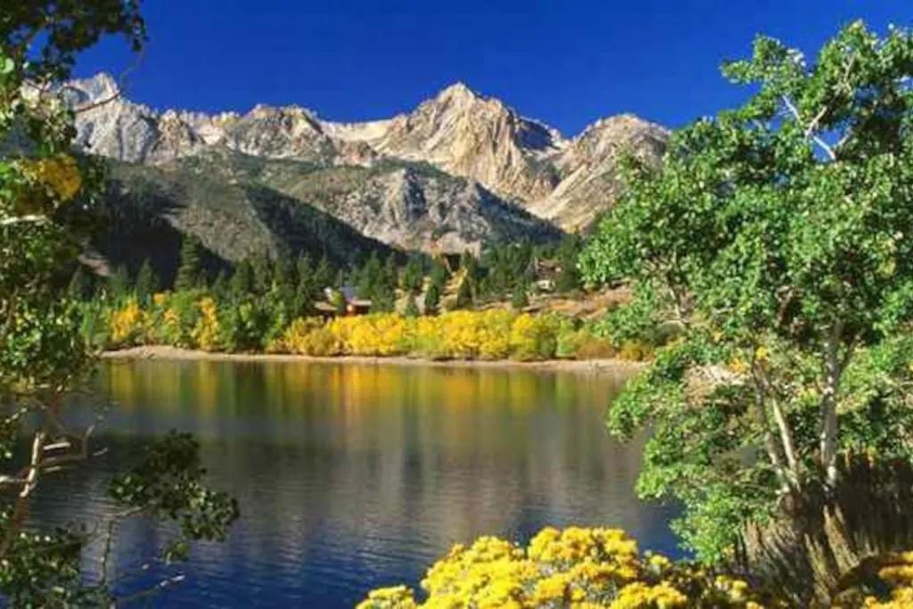 1 Bedroom Hotel Rental in Coleville, California