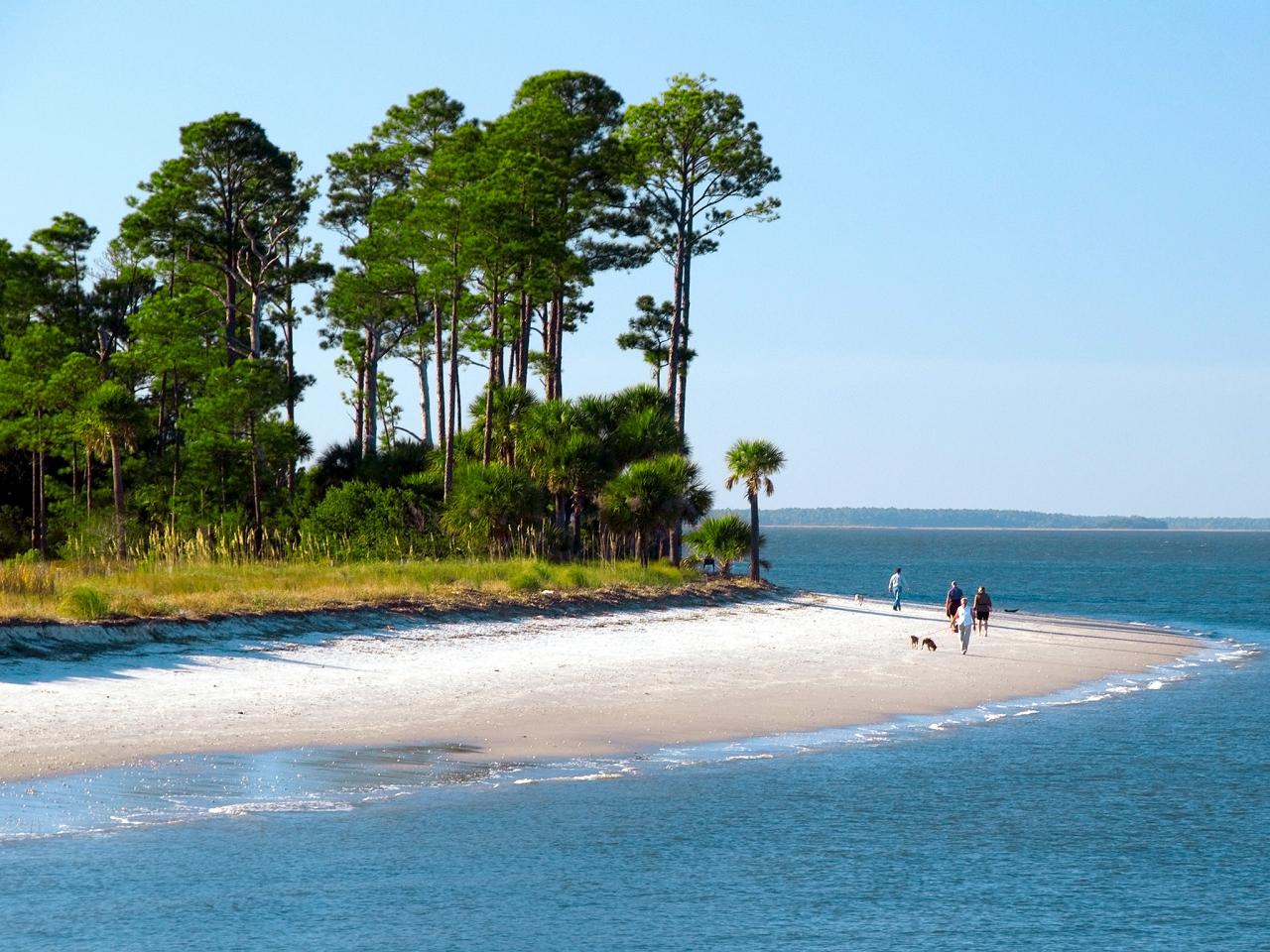 Have A jovial trip to a picturesque Terminus The Palmetto State - Rent By Host