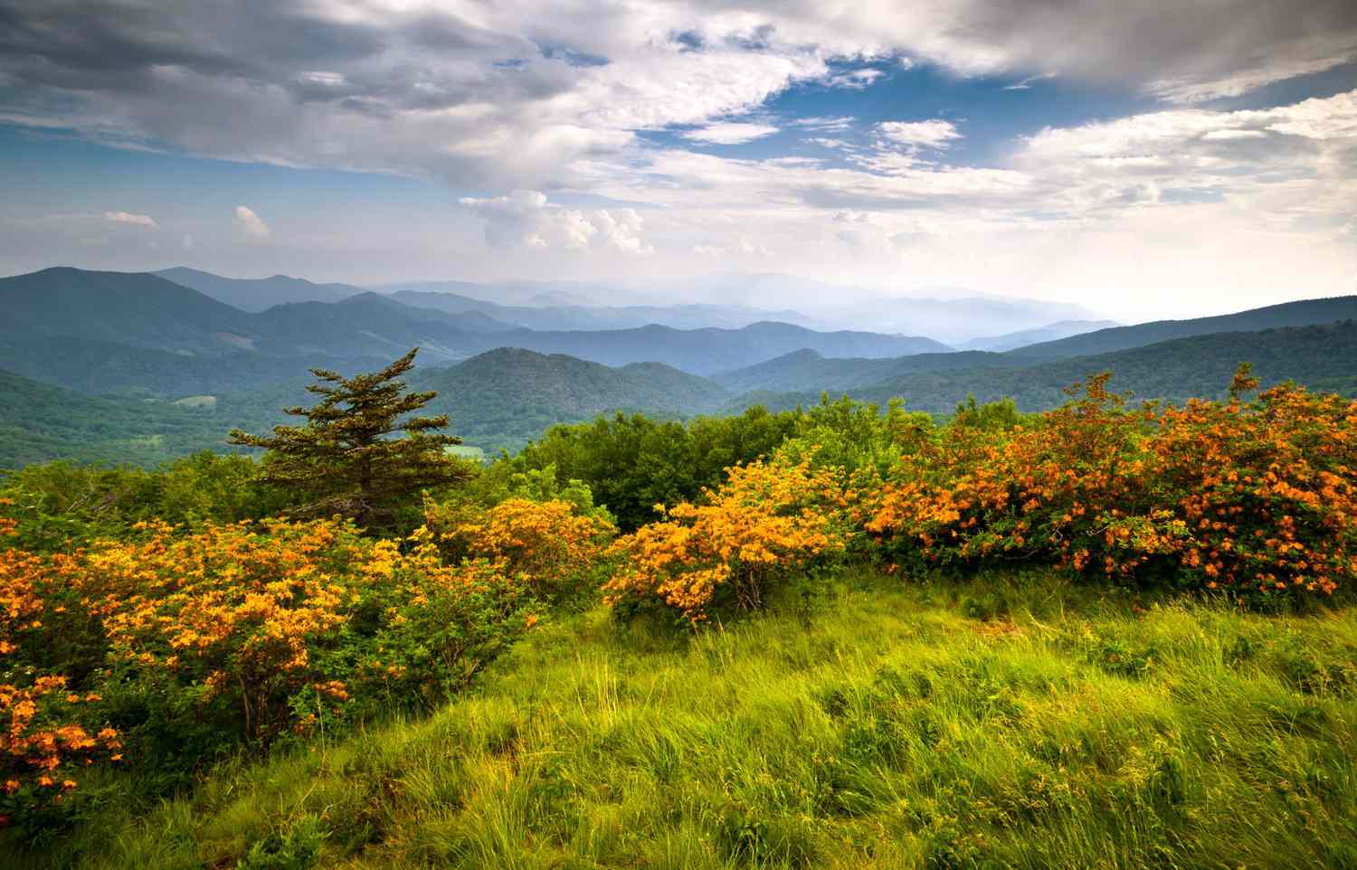 The Best Places to Visit during a Vacation in North Carolina - Rent By Host