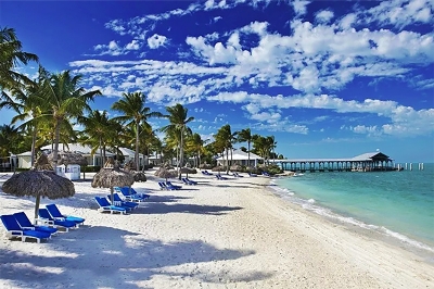 Dive into the exotic wilderness and beauty of the sunshine state-Florida | No Booking Fee